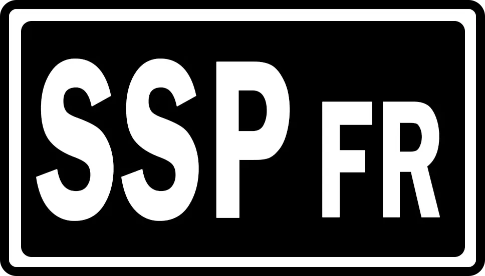 symbol de l'extension Étincelles Déferlantes, issu de la série Écarlate et Violet