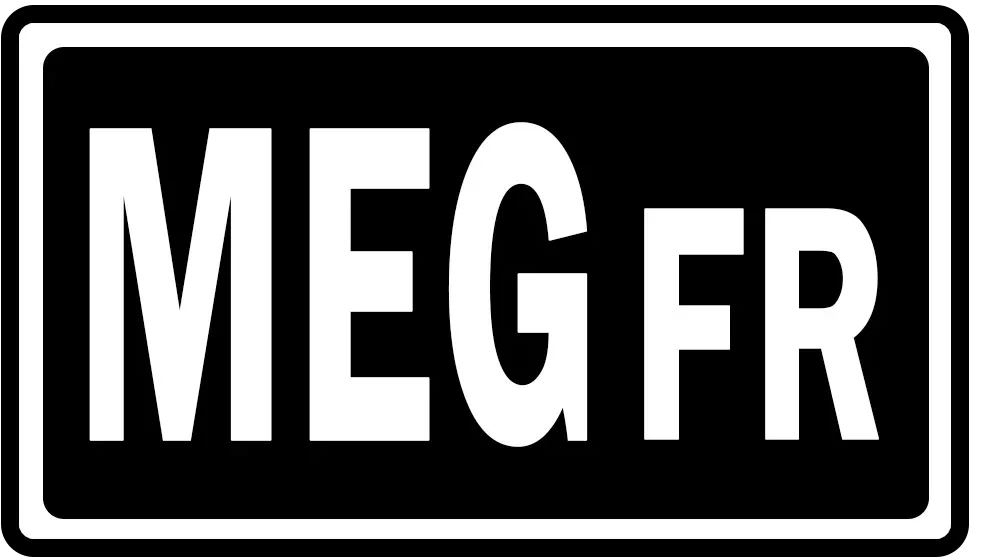 symbol de l'extension Méga-Évolution, issu de la série Méga-Évolution