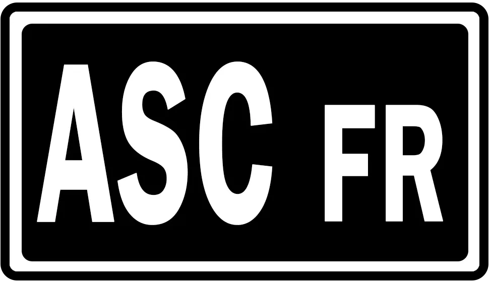 symbol de l'extension Héros Transcendants, issu de la série Méga-Évolution