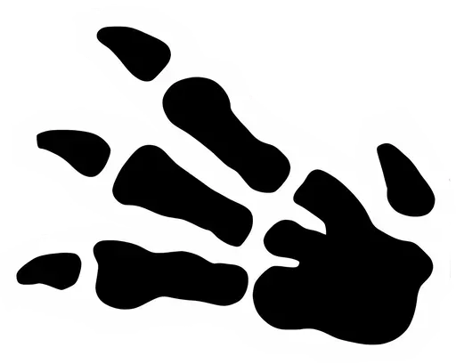 symbol de l'extension Fossile (Ed. 1), issu de la série Wizards