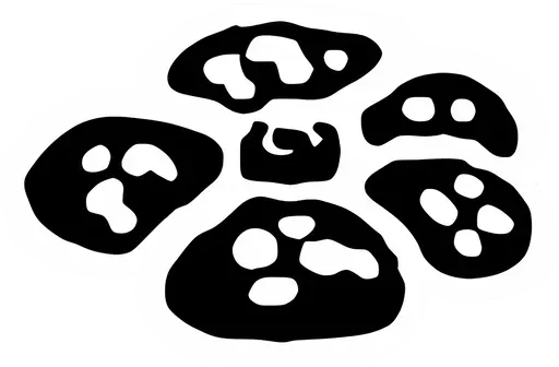 symbol de l'extension Jungle (Ed. 2), issu de la série Wizards